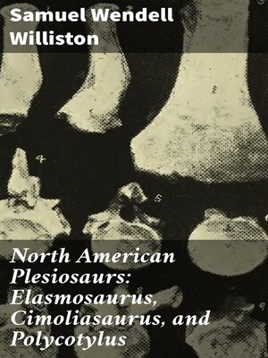 cover image of North American Plesiosaurs